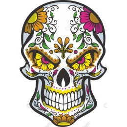 Colorful Skull with Floral