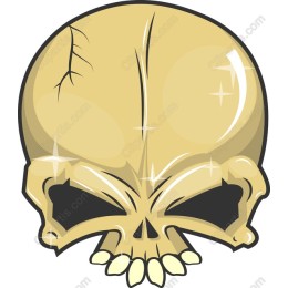 Stylized Skull