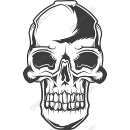 Intricate Skull