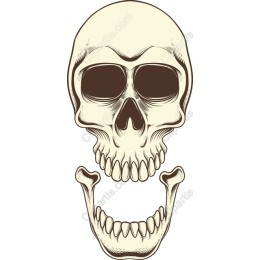 Vintage Skull
