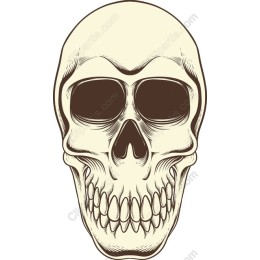 Vintage Skull