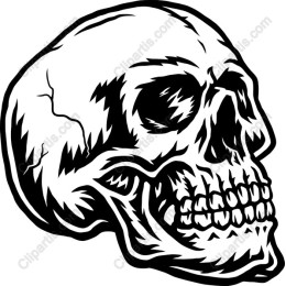 Bold Skull