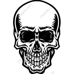 Edgy Skull