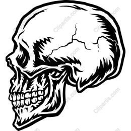  Skull