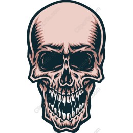 Bold Skull
