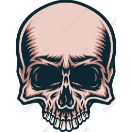 Intricate Skull