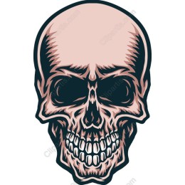 Edgy Skull