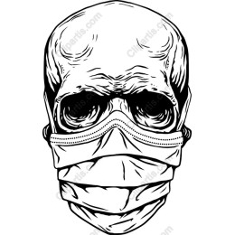 Skull Face Mask