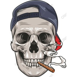 Urban Skull