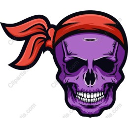 Purple Pirate Skull