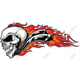 Fierce Skull & Flames