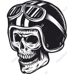 Skull in Aviator Helmet