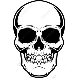 Intricate Skull