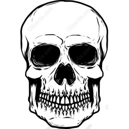 Intricate Skull