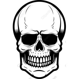 Bold Skull