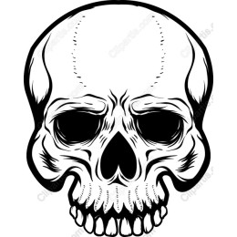 Classic Skull