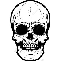 Intricate Skull