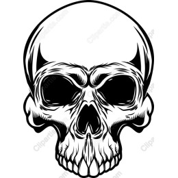 Edgy Skull for Creative