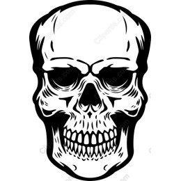 Edgy Skull
