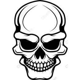 Intricate Skull