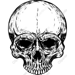 Intricate Skull