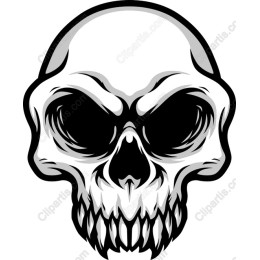 Premium Skull