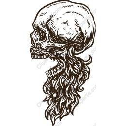 Edgy Skull with Flowing Hair