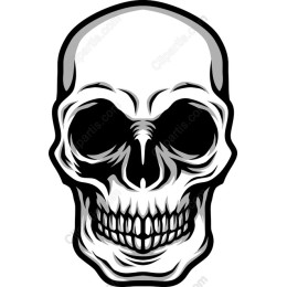 Edgy Skull