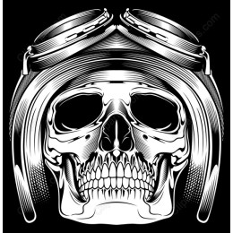 Aviator Skull