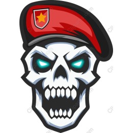 Fierce Military Skull