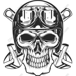 Aviator Skull