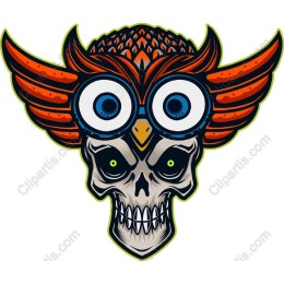 Owl Skull Fusion