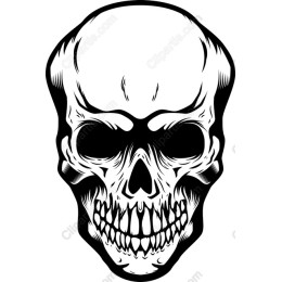 Skull - Intricate