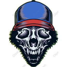 Vibrant Skull Cap