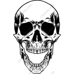 Intricate Skull