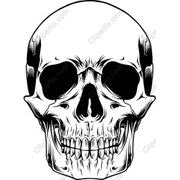 Intricate Skull