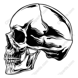 Premium Skull