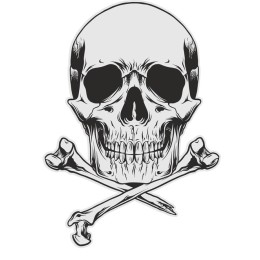 Skull and Crossbones