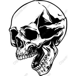 Skull work