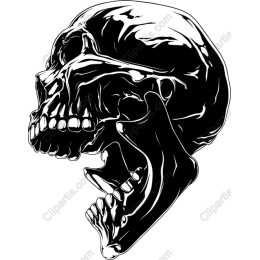 Black Skull