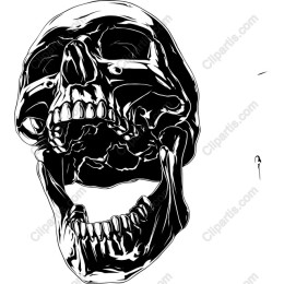 Edgy Skull
