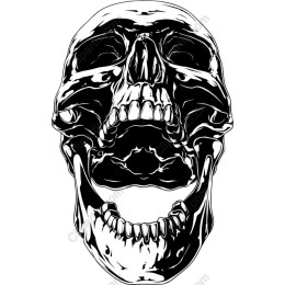 Edgy Skull - Black and White