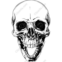 Monochrome Skull
