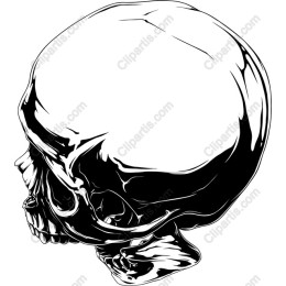 Stylized Skull