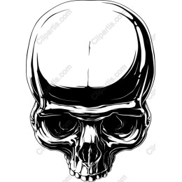 Intricate Skull in and