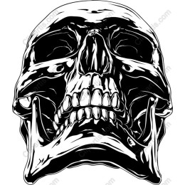 Bold Skull