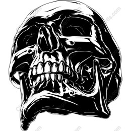 Intricate Skull
