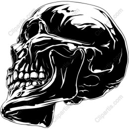 Black Glossy Skull