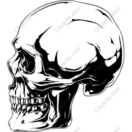 Skull in Black and White