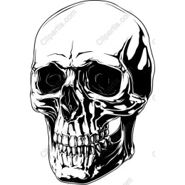 Edgy Skull
